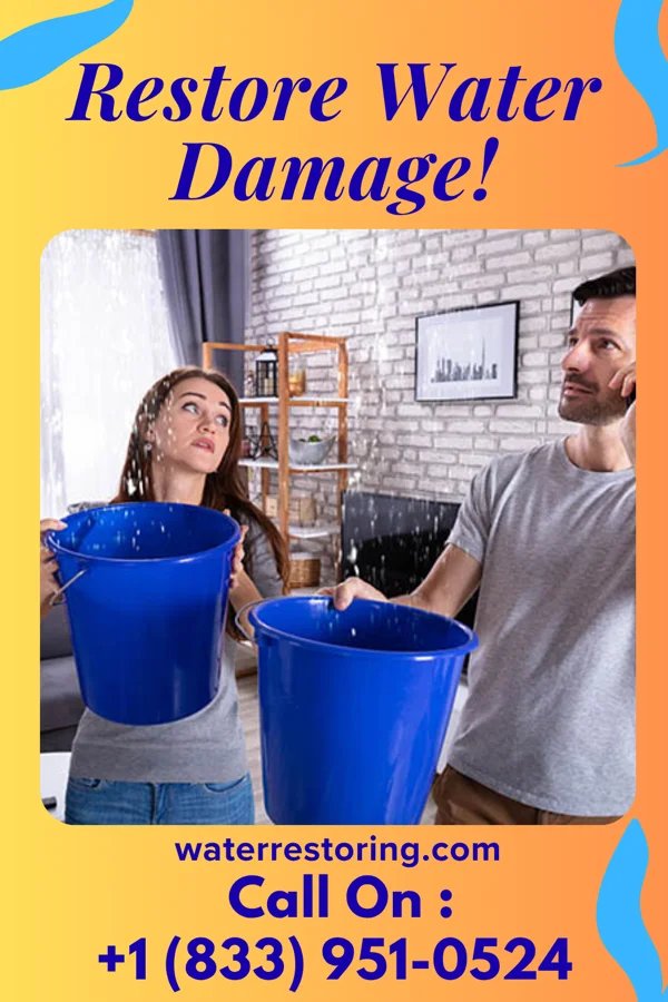 water restoration National Water Repair Specialists Allenwood